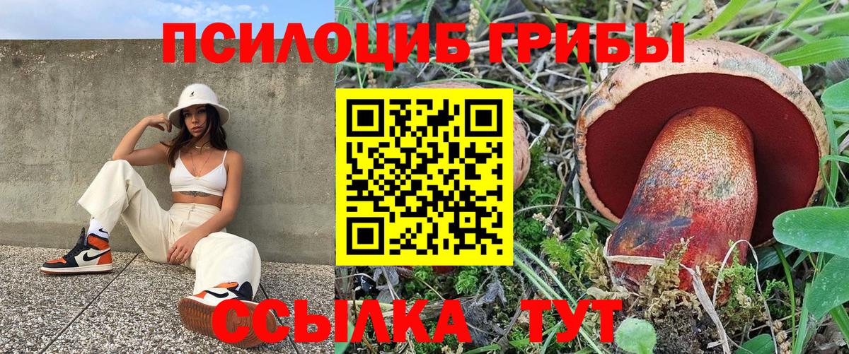 магазин продажи   Вход с VPN  Кропоткин  Псилоцибиновые грибы Cubensis 